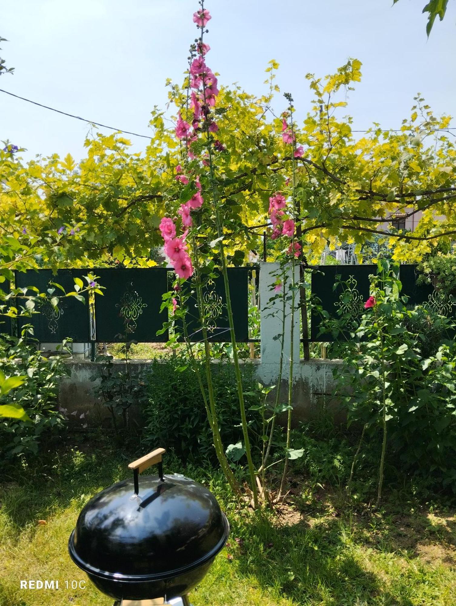 Holiday Home In Chalkidiki, Lakkoma Eksteriør bilde